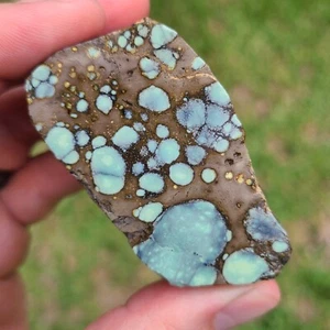 NATURAL STAR FOX VARISCITE ROUGH NEVADA 80.8 GRAMS - Picture 1 of 7