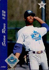 1994 Thunder Bay Whiskey Jacks Team Issue #18 Sean Ross Wilmington NC Card