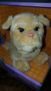 NEU IM BOX FurReal Friends Neugeborener Welpe weiches Plüschtier interaktiv von Hasbro Vintage - Bild 1 von 12