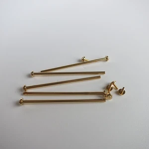 GF115Y 1.2mm Diameter Brass Gold Screw Type T-Bar Assortment Kit Watch Repair - Picture 1 of 4