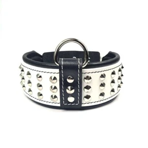 STG Echtleder Nieten Hundehalsband für große Pitbull Hunde 5 Stück Halsband - Bild 1 von 5