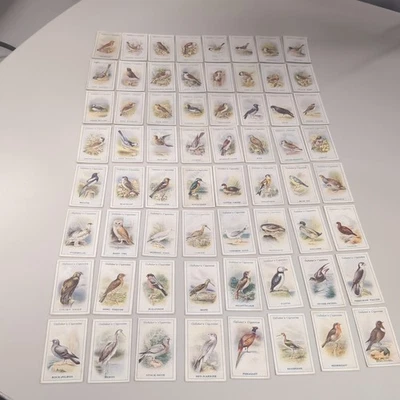 Gallaher's "BRITISH BIRDS" 64 of a set of 100 cigarette cards from 1923 tobacco  - Image 1 of 4