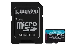 740617301250 Kingston Technology Canvas Go! Plus 256GB SD UHS-I Klasa 10 Kings - Zdjęcie 1 z 8