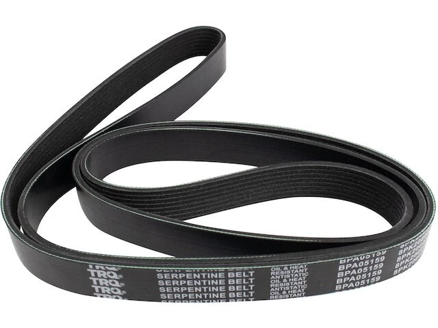 Cinturón ventilador multi costilla para autobús escolar Blue Bird Vision 2011 6,7 L 6 cilindros NR492WT Foto 1 de 1