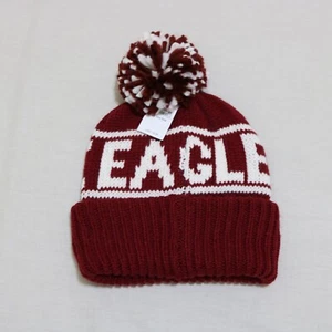 American Eagle Men Pom Beanie hat one size fit new with tags - Picture 1 of 2