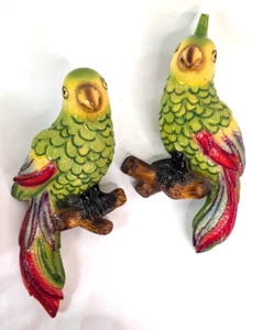 Favorware Chalk Ware Parrot Wallhanger Set of Birds from Canada - Bild 1 von 11