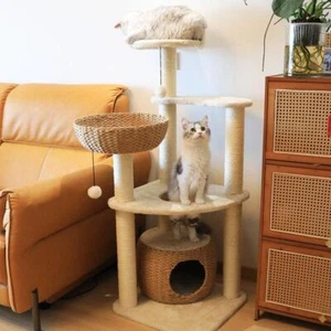 Cloudy Cat Haven - Bild 1 von 8