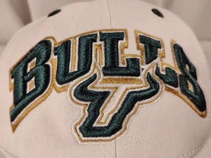 University of South Florida USF Bulls Top of the World Fitted 6 7/8 Hat Cap NCAA - Picture 1 of 8