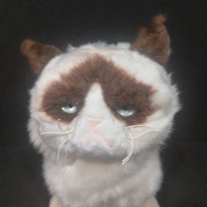 9" The GRUMPY CAT Kitty Plush Stuffed Animal Toy By Gund Plushie Softy Toy - Picture 1 of 12