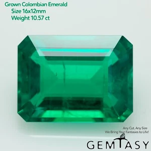 Cut stone - Emerald Colombian hydrothermal lab grown, facet 16x12mm 10.57ct - Picture 1 of 4
