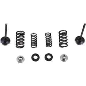 Moose Racing Exhaust Valve Kit | M30-33690 - Picture 1 of 1