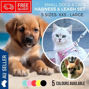 Harness Leash Set Small Pets Dogs & Cats Adjustable Reflective 5 Colours 5 Sizes - Picture 1 of 31