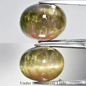 💎 Big 17.44ct Oval Natural Watermelon Cat's Eye Tourmaline - Unheated Gem - Picture 1 of 6