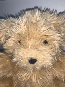 Fuzzy Plüschbär Puppe hellbraun 10 Zoll weich Schlafenszeit Geschichte Schnuller - Bild 1 von 9
