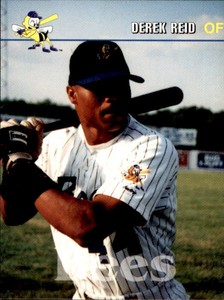 1995 Burlington Bees Team Issue #19 Derek Reid Cincinnati Ohio OH Baseball Card