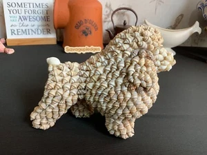 Caniche incrustado vintage concha marina adorno para perro recuerdo de vacaciones de verano 13 cm de alto - Imagen 1 de 7