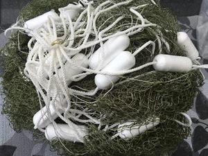 Red de tracción red de remolque 10m x 1,7m con bolsa de captura 14 x 14mm Koi 1mm espesor ¡NUEVA!¡! - Imagen 1 de 2