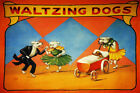 361576 Freak Geek Circus Waltzing Dogs Dance Puppy on Crib Print Poster
