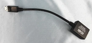 Adaptador Tripp-Lite DisplayPort a D-Sub - P134-06N-VGA (usado) - Imagen 1 de 5