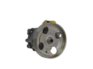 Pompa Idroguida Citroen Berlingo 9685555580 - 03294 - Foto 1 di 3