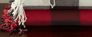 Pottery Barn holiday Christmas Plaid Stewart￼throw blanket cover Disney Gift🎁 z - Picture 1 of 12