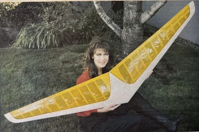 Future Flight Klingberg Wing R/C Airplane Model Kit Vintage NOS - Image 1 of 4