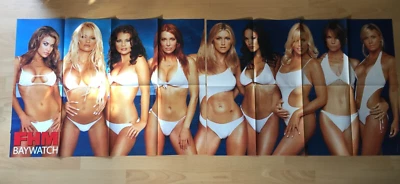 ⭐⭐   All Baywatch Babes in XXXL Poster- Pam Anderson,Carmen Electra - Image 1 of 4