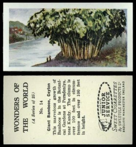 Giant Bamboos #14 Wonders Of The World 1956 Sweetule Card - Picture 1 of 1