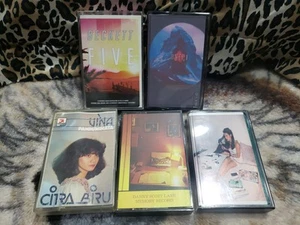Lot 5 Vaporwave Synthwave Indie Cassette Tapes Beckett Memory Lane Lateral Gurl - Picture 1 of 3