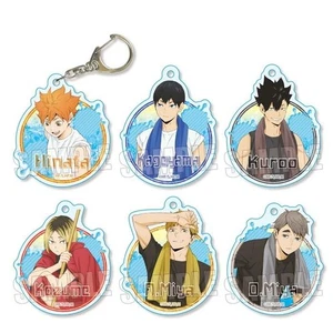 Trading Acryl Schlüsselanhänger Haikyu !! Poolreinigungsversion BOX Produkt 6 Typen zu - Bild 1 von 1
