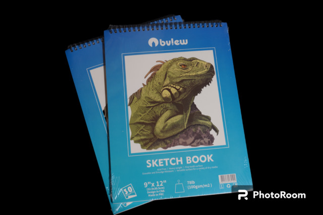 Sketch Book Pack 9 x 12 Inches Pad, 2 Pack 100 Sheets Spiral Bound 65lb/100gsm