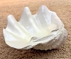 Seashell Decorative Resin Bowl Large 9.5" - NEW - Picture 1 of 4