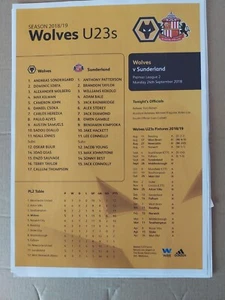 WOLVERHAMPTON WANDERERS RESERVES v SUNDERLAND RESERVES 2018/9 - Picture 1 of 1