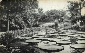 Postal de Lily Pond Como Park St Paul Minnesota MN pm 1908 - Imagen 1 de 2