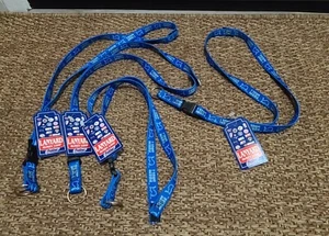 Vintage NFL Hunter Fan Gear Detroit Lions LANYARD ID KEY LOOP New With Tags - Picture 1 of 7