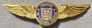 Rare Vintage US Customs Service USCS/CBP Treasury Department Pilot Wings - Picture 1 of 3