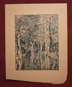 Antique Black and White Print Focusing on A Forested River, Artist Unknown - Picture 1 of 12