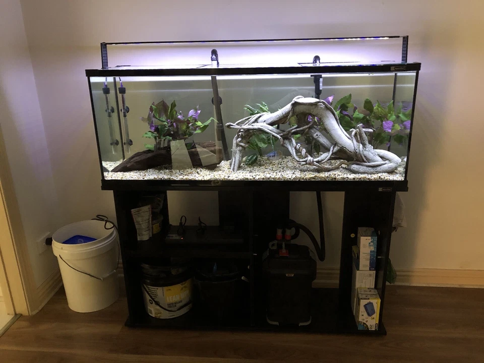 Fish Tank - image 1 of 1