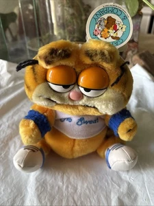 Garfield ‘No Sweat’ Cat Vintage Retro Soft Plush Toy made by Dakin from 1980s - Picture 1 of 7
