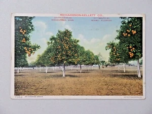 Advertising Postcard Richardson-Kellett Co. Orange Grove 1914 Minnesota 9053 - Picture 1 of 2