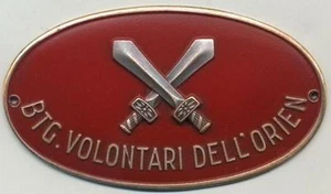 SCUDETTO DA BRACCIO BATTAGLIONE VOLONTARI DELL'ODER - Foto 1 di 1