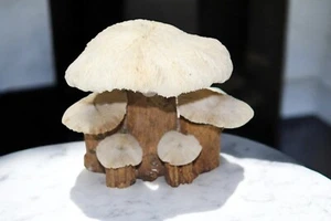 MCM Mushroom Lamp Fantasy Mid Century Wood And Coral Magical Mushroom Lamp - Picture 1 of 7