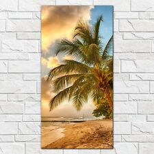 Photo Art Picture Tempered Glass Print 50x100 Barbados beach palms sunset