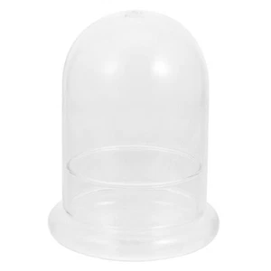 Cloche Dome Glass Terrarium For Plants Terrarium Jar Table Office - Picture 1 of 12