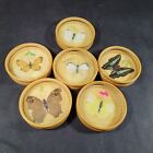 Vintage Rattan Pressed Butterfly Coaster Set  Lot of 6 1970s retro