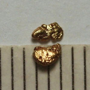 2 PEPITAS DE ORO - PEPITAS DE ORO de ALASKA! - Imagen 1 de 1