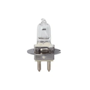 Lampadina Alogena 30W 12V PG22 - M/185 - Photo 1/1
