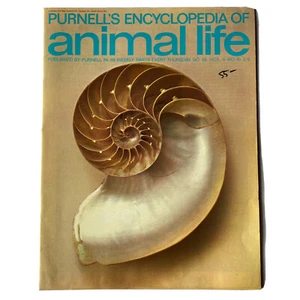 Purnell’s Encyclopedia Of Animal Life Magazine Volume 4 Number 8 - Picture 1 of 10
