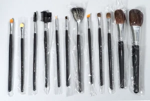 12 Pcs Professional Makeup Brushes High-End Full Face Eye Brow Brand New w Case - Picture 1 of 11