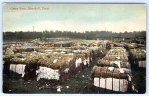 1910's MARSHALL TEXAS COTTON SCENE DUKE & AYRES CO ANTIQUE POSTCARD - Picture 1 of 2